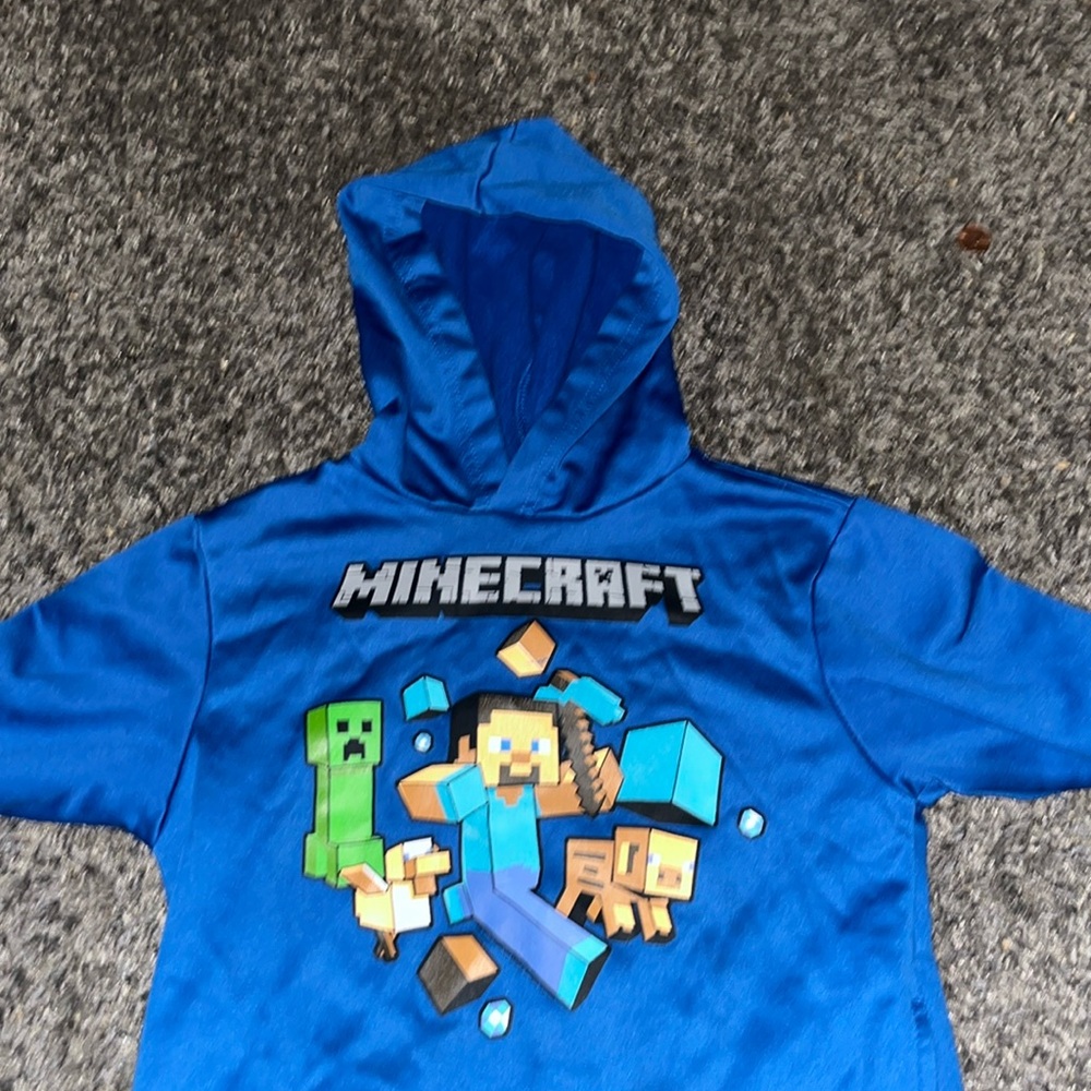 Minecraft hoodie